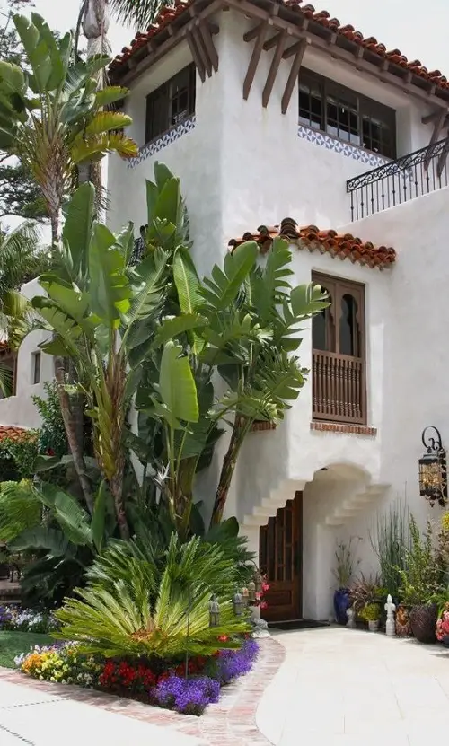 Best Mediterranean Garden Grow Tall Shade Plants with a Floral Mat