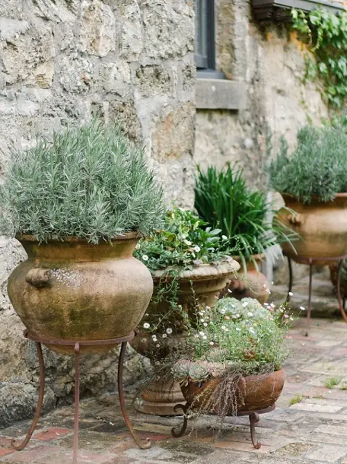 Display Rustic Clay Pots
