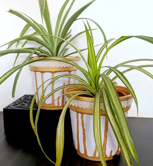 DIY Planter for sparkling pot