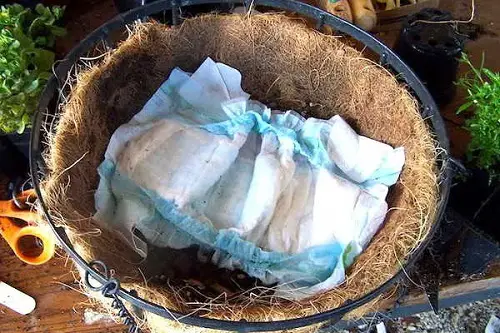 Shocking Gardening Ideas You Use Diapers