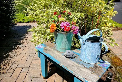 Rustic Flower Pot