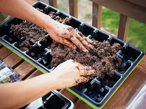 Starting Mix for Tiny Seeds