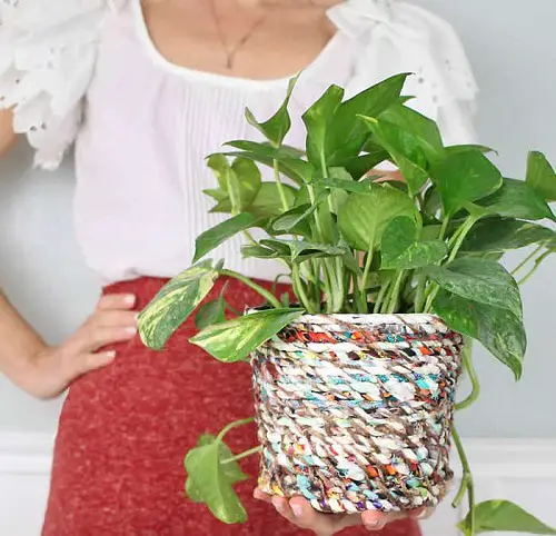 Plastic Pots Made into Expensive Planters