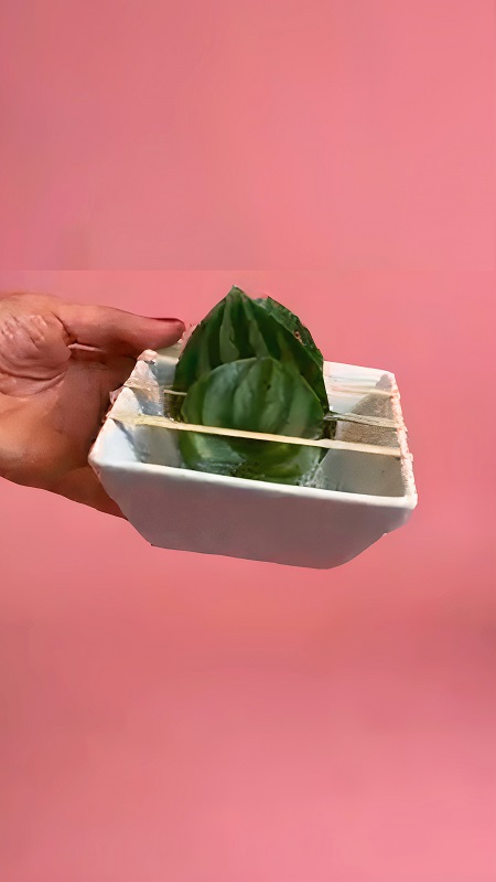 Fix the Leaves in Rubberbands