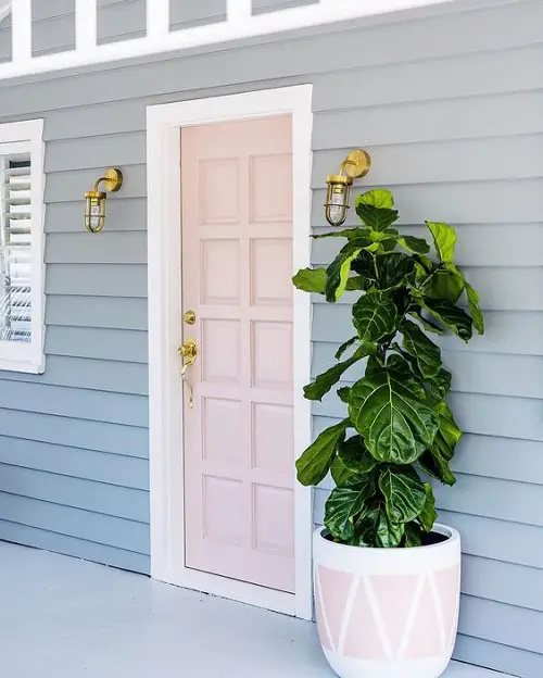 fig Plants for Front Door According to Various Cultures
