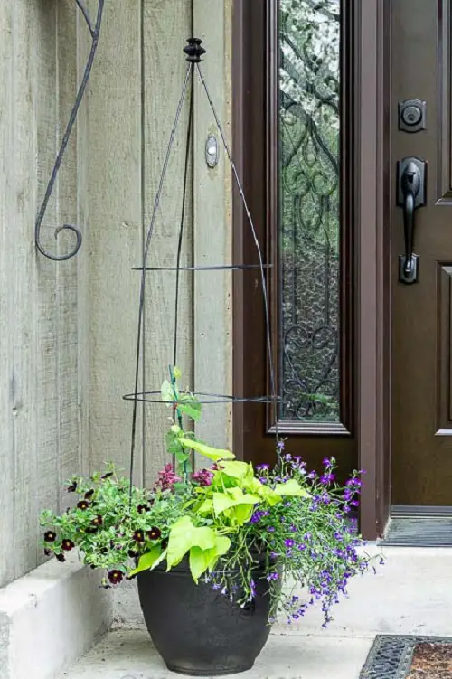 Tomato Cage Trellis for Flower Pots