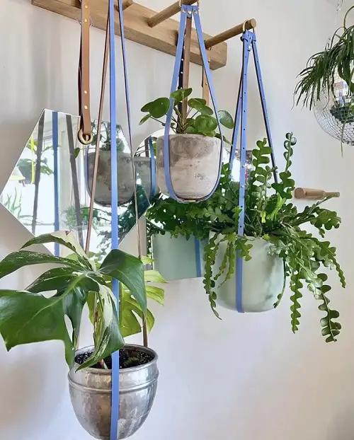 Club Hanging Baskets Together