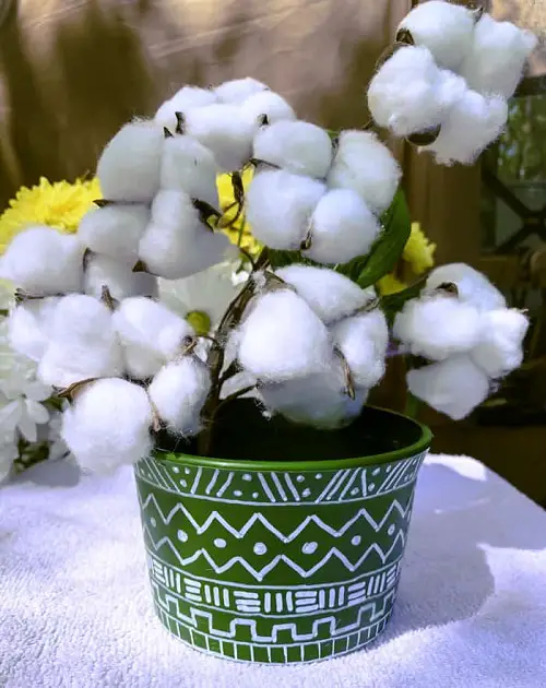 Upcycled Plastic Pots Made into Expensive Planters