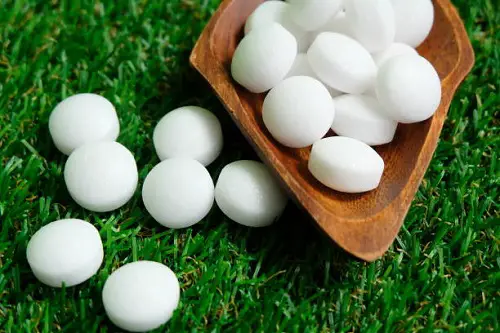 Shocking Gardening Ideas You Should Try Once Moth Balls