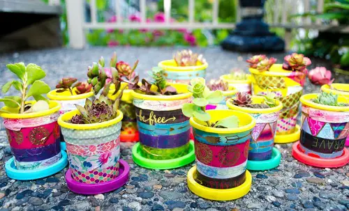 Mini Succulent Pots