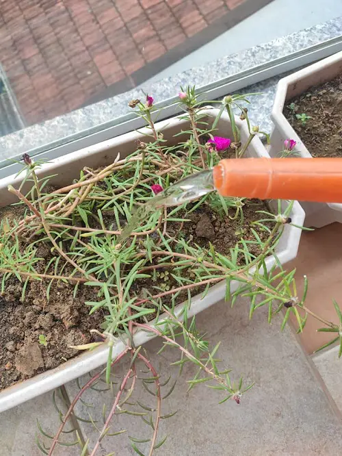 Keep a Check on Watering