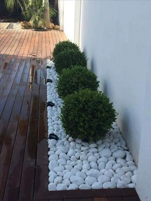 White Topiary Bed