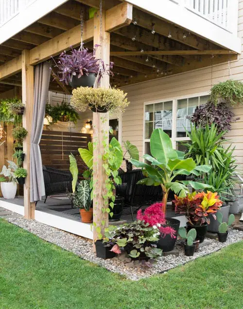 Open Porch with Diverse Colorful Foliar Specimens
