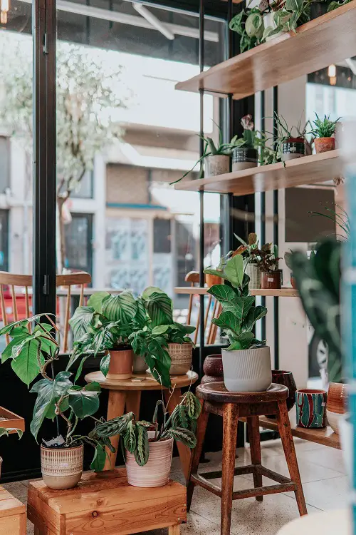 A Vintage Indoor Garden cum Coffee Corner