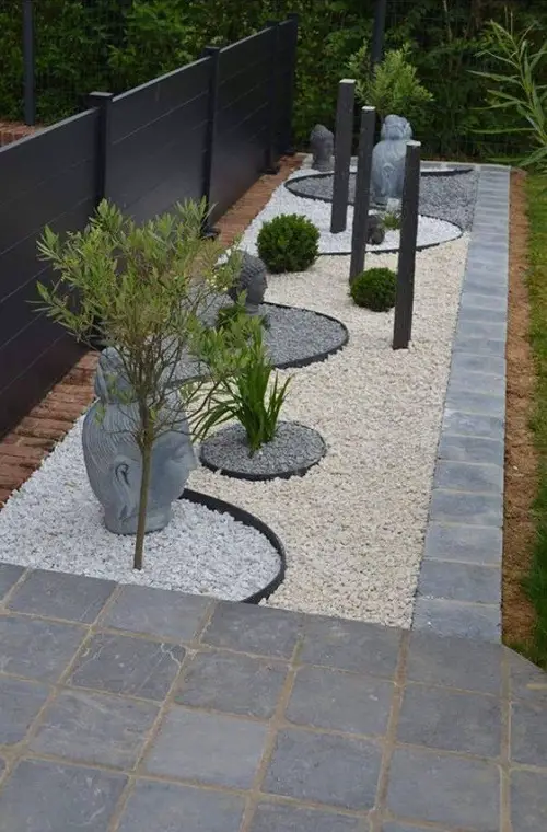 Desert Garden Landscape in the Patio