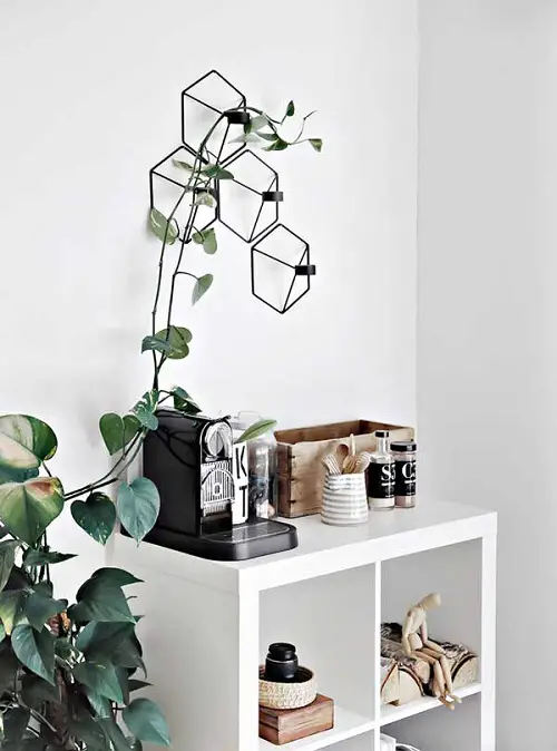 Classic Coffee Station by a Vining Houseplant