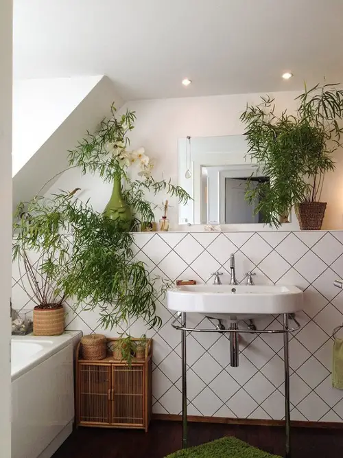 top Bathroom Indoor Plants