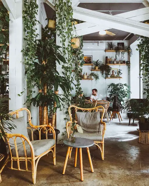 Trailing Vines and a Cozy Brewing Spot