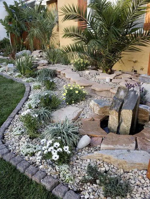 Alpine Garden Landscape with Desert Plants