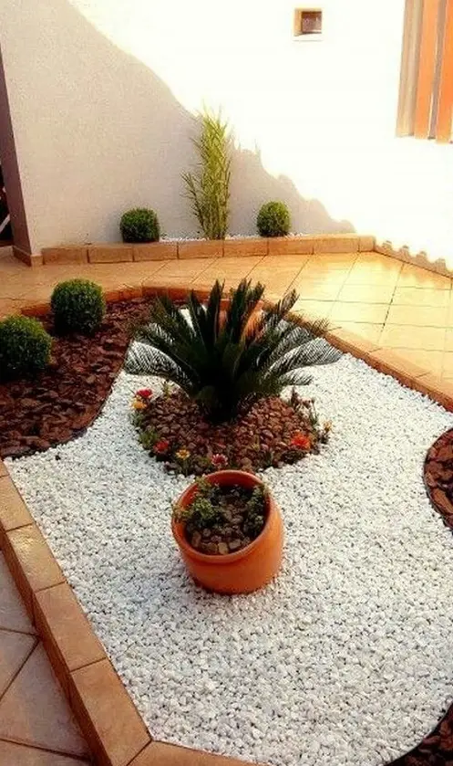 Sago Palm Stealing the Show in White Gravel Bed