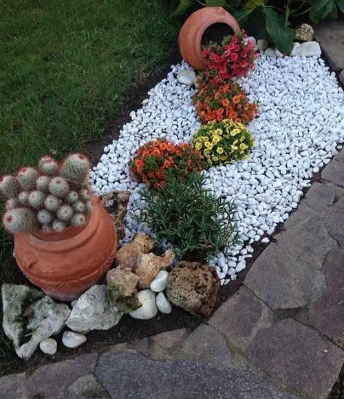 Yard Scaping with Cactus, Blooms, and White Stone