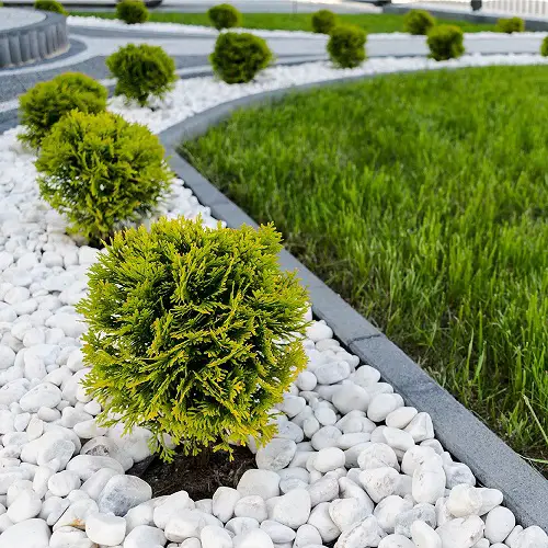 25 Beautiful Gardens with White Rocks | White Rock Garden Ideas