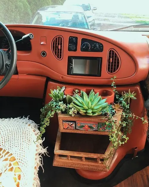 Dashboard Succulent Garden