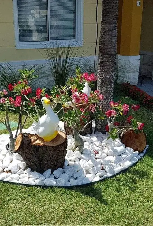 Adeniums and Faux Ducks on Chalk Stone Bed