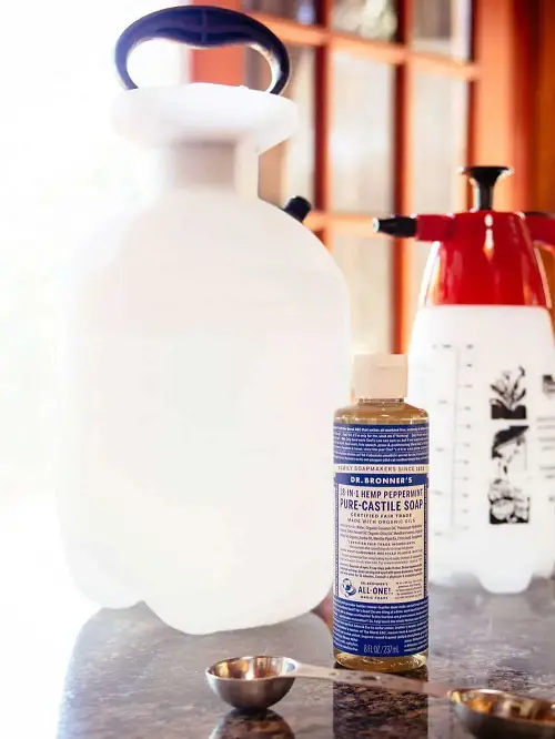 Insecticidal Soap Recipes for Garden Red Pepper + Soap Solution