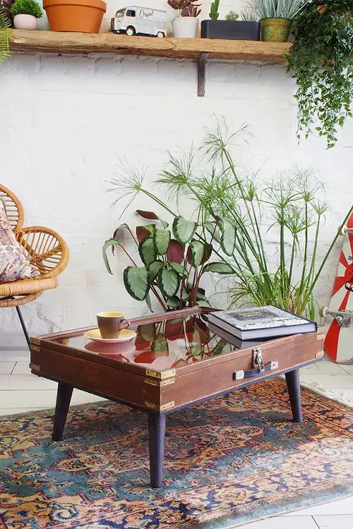 Antique Coffee Table by a Potted Zembla and Cyperus