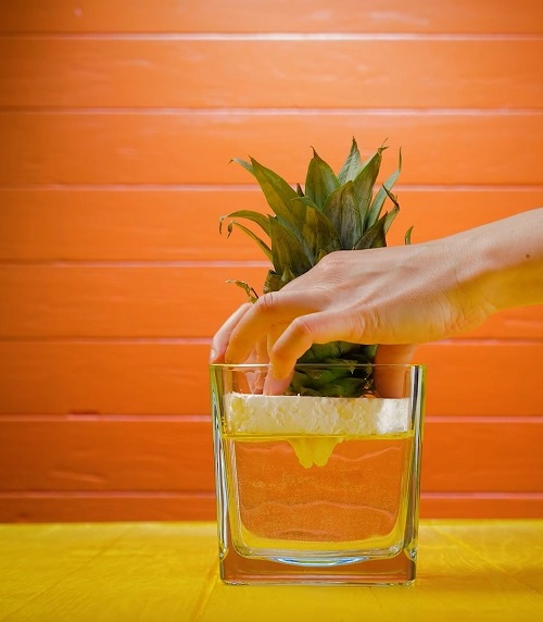 best Unbelievable Ways to Grow Tropical Fruits