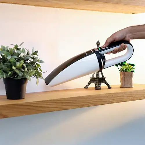 How to Get Rid of Whiteflies on Plants Vacuum Them
