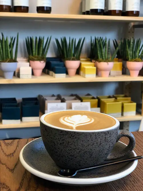Cappucino by a Sansevieria Shelf