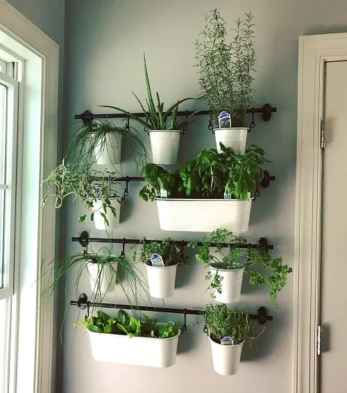 Make a Vertical Garden