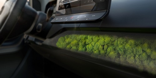 Moss Dashboard car garden ideas
