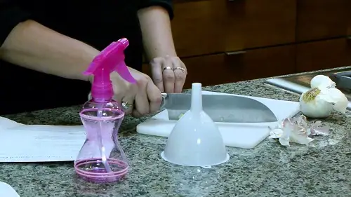 DIY Insecticidal Soap Recipes for Garden