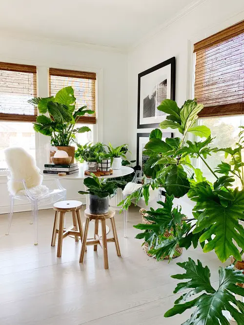 A Picturesque Coffee Spot with Plants all Around