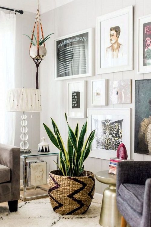 Large Snake Plant and a Sucuclent in Hanging Macrame Planter