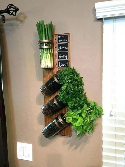 best Suspended Wall Herb Garden