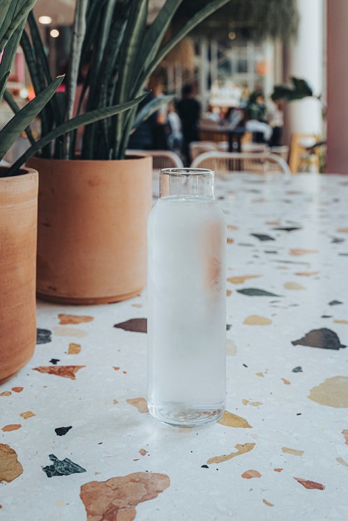 Keep a Water Vessel Near a Plant to Increase Humidity for Houseplants