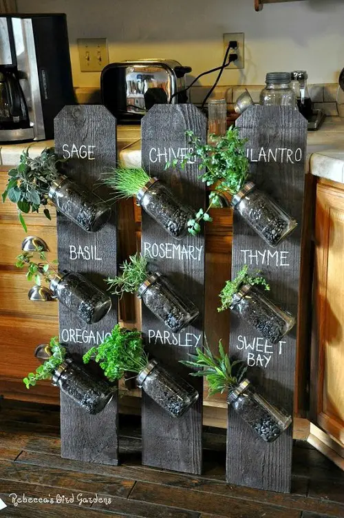Herbs Jars Hung on Wooden Boards