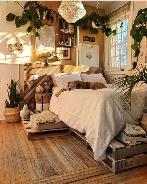 jungle Comfy Bed with Hanging Plants Around