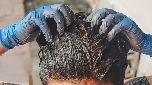 Plants to Naturally Color Your Hair