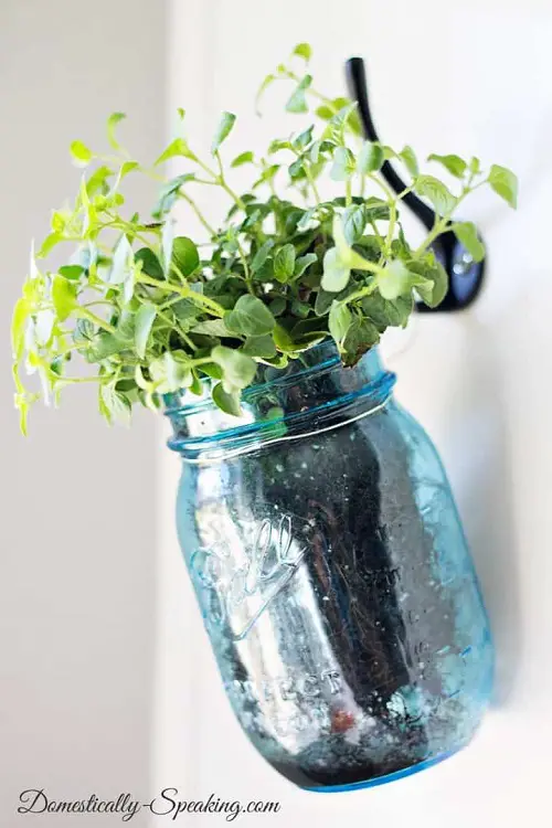 Brilliant Herbs in Glass Jar Ideas