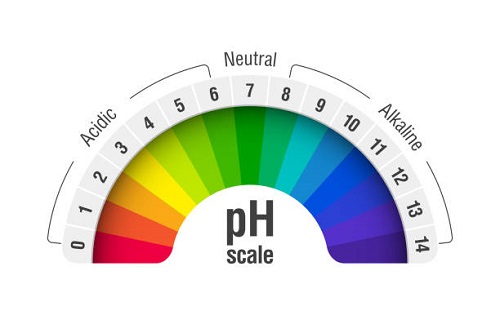 How to Change Your Soil pH
