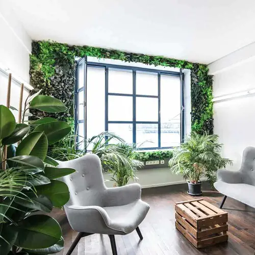 Really Fun Indoor Garden Ideas Create a Living Wall
