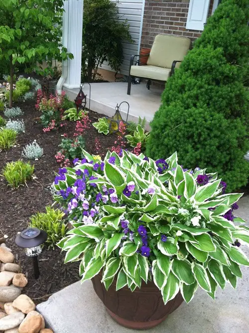 Growing With Right Plant