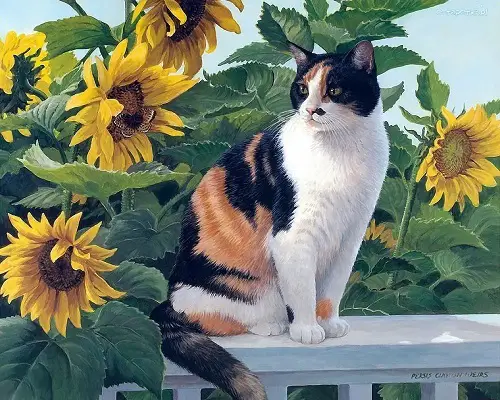 beautiful Garden plants that are cat-friendly