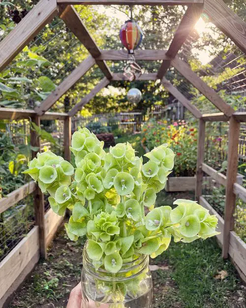 best Bell-Resembling Flowers 