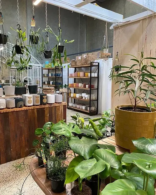 Hanging and Potted Plants Around a Coffee Shop